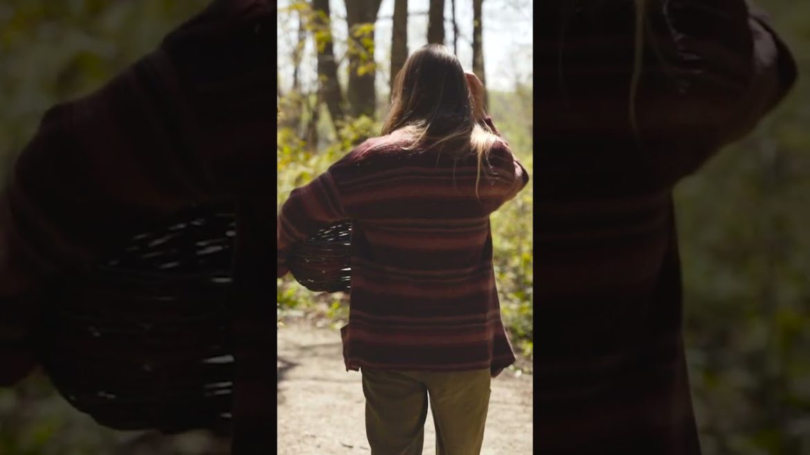 Sustainable gardening: how to get started