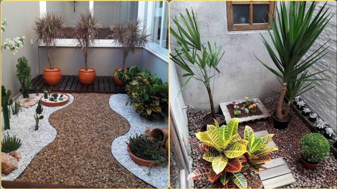 HOME DECOR BEAUTIFUL PLANTS DECORATION IDEAS 2023 || SMALL GARDEN DECOR || HOME GARDENING IDEAS HOME DECOR BEAUTIFUL PLANTS DECORATION IDEAS 2023 || SMALL GARDEN DECOR || HOME GARDENING IDEAS