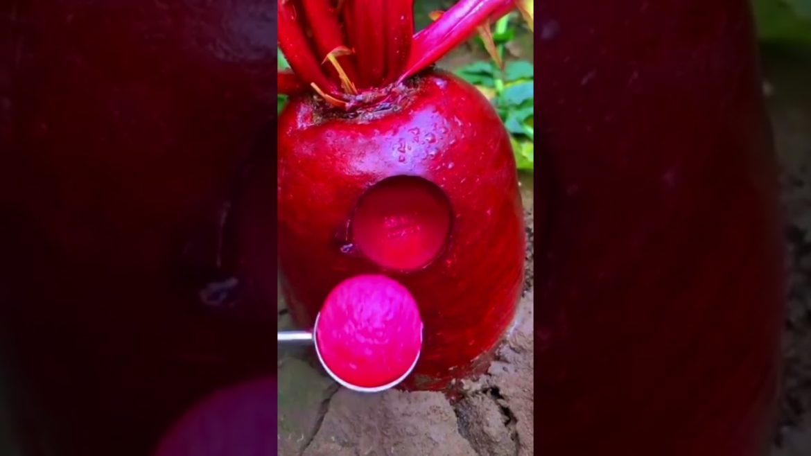 I grow Red and White Radish in a water bottle