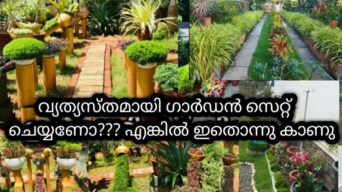 കുറഞ്ഞ ചിലവിൽ വ്യത്യസ്തമായി  ഗാർഡൻ സെറ്റ് ചെയ്യാം/garden ideas/garden tour/garden setting ideas