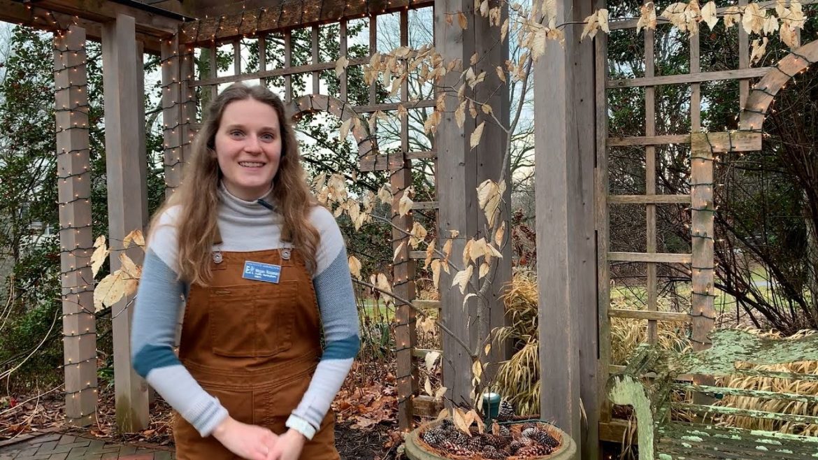 Lunchtime Tour: Early Winter Highlights