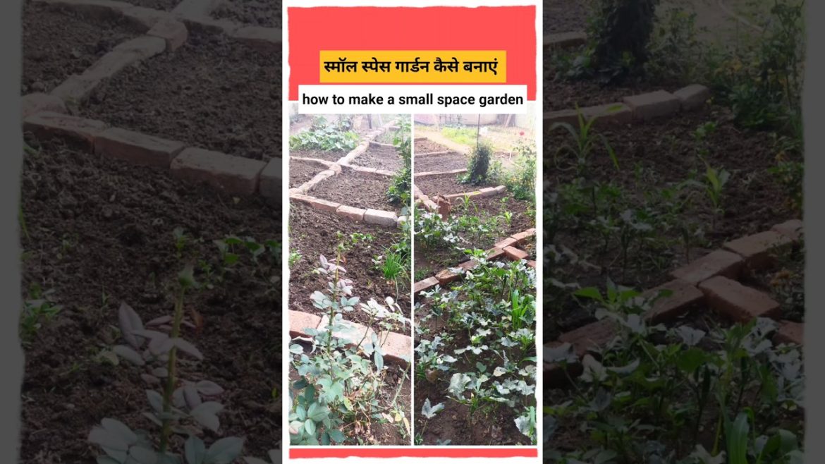 #shorts#gardening tips & home gardening#garden ideas care & raised bed garden ll kitchen garden