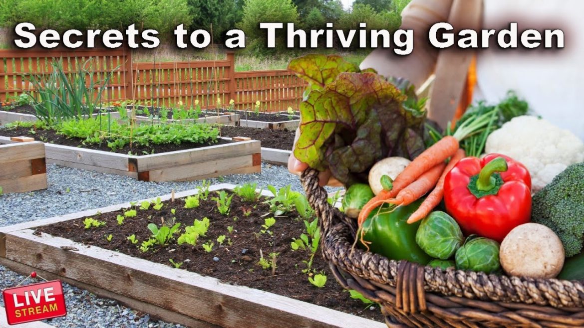 The Proven Strategies for a Thriving Garden!