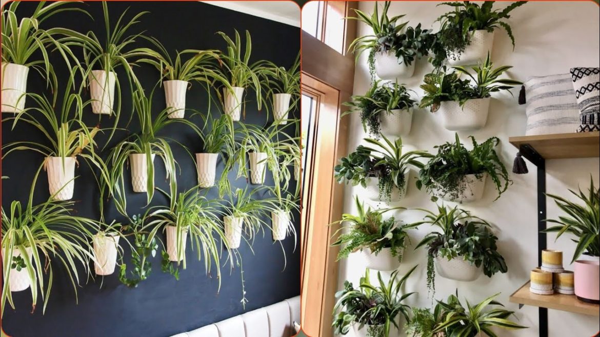 HOME DECOR LATEST WALL PLANT DECORATION IDEAS 2023 || WALL GARDEN DESIGNS || WALL PLANT DECORATION