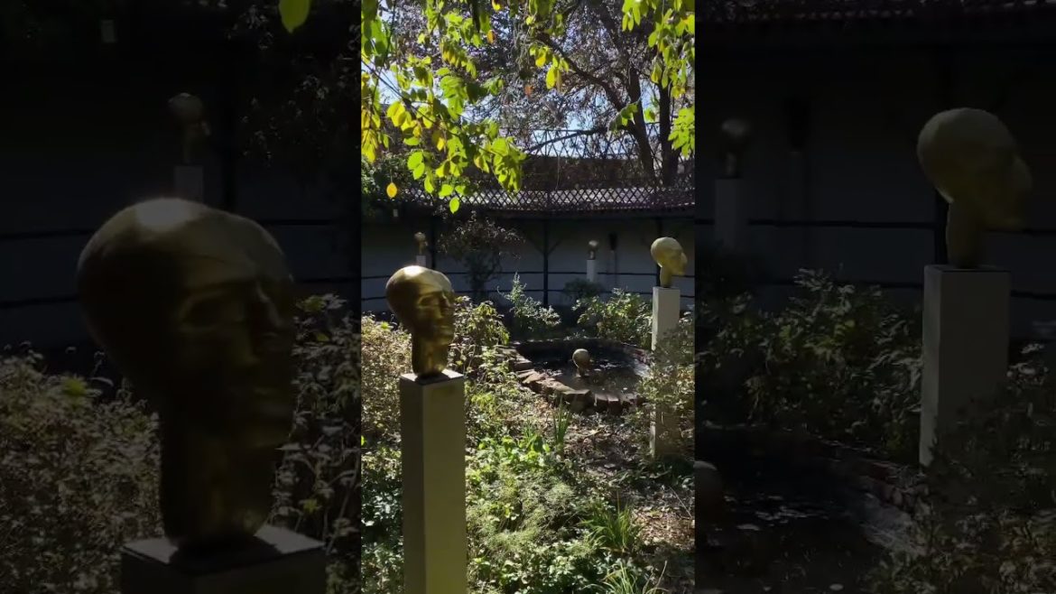 Hidden Zen Garden in Art Gallery | Old Market Passageway Omaha Nebraska