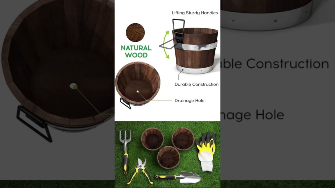 Rustic wooden planters with garden tools set for your garden #shorts
