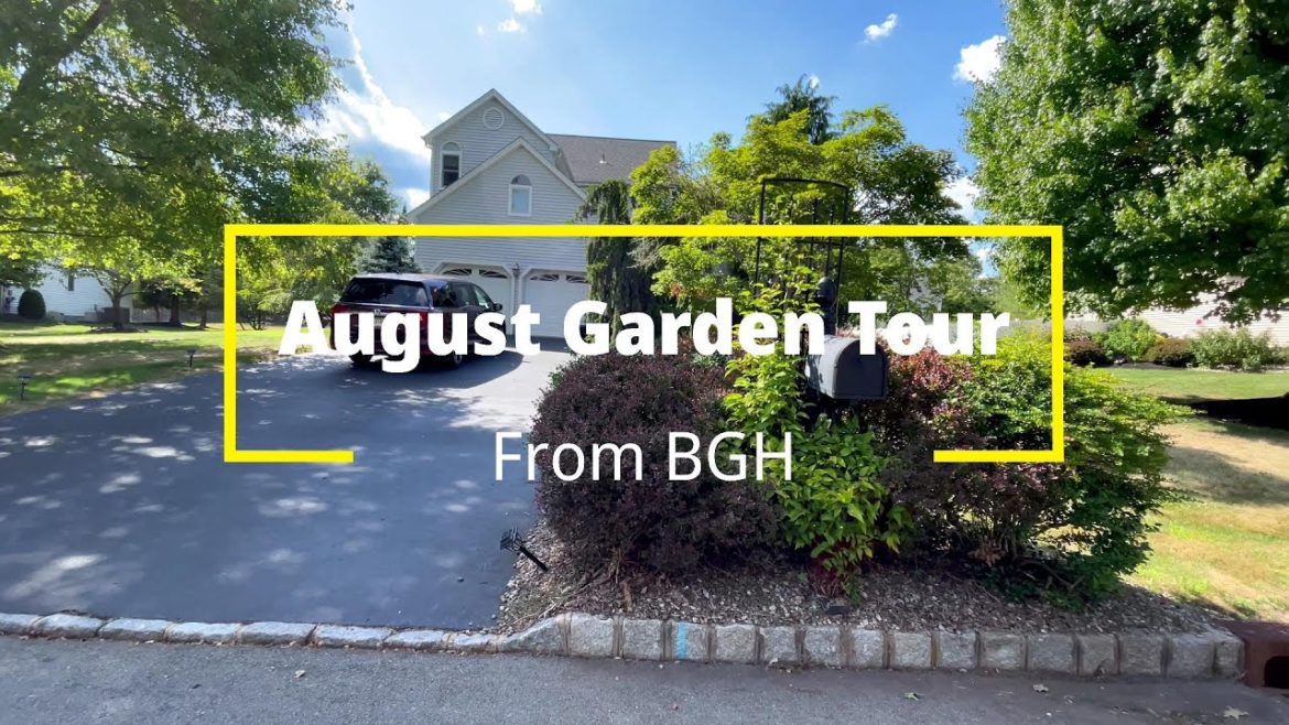 Front yard Aug Garden Tour | Dahlia | Begonia🌸🌸🌸 | Backyard Garden Highlights Front yard Aug Garden Tour | Dahlia | Begonia🌸🌸🌸 | Backyard Garden Highlights