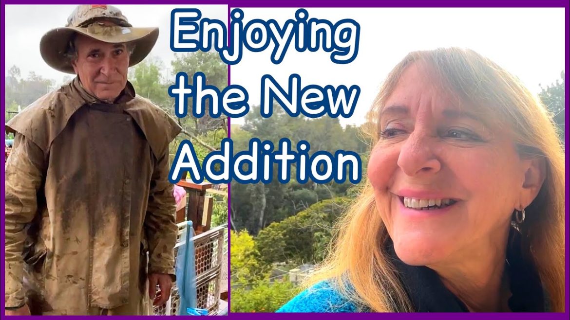 New Deck Garden LANDING See What’s Growing Winter Vegetable Gardening Update & Thoughts on Terrace