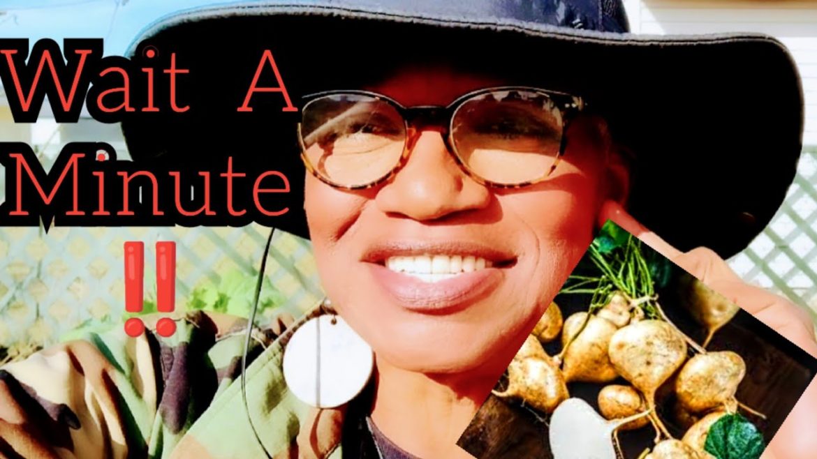 Wait A Minute ‼️ Wait A Minute ‼️