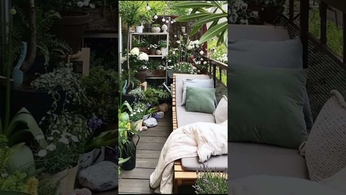 Unique Garden Ideas for Small Home || Home garden ideas for small spaces || Garden || Garden Ideas