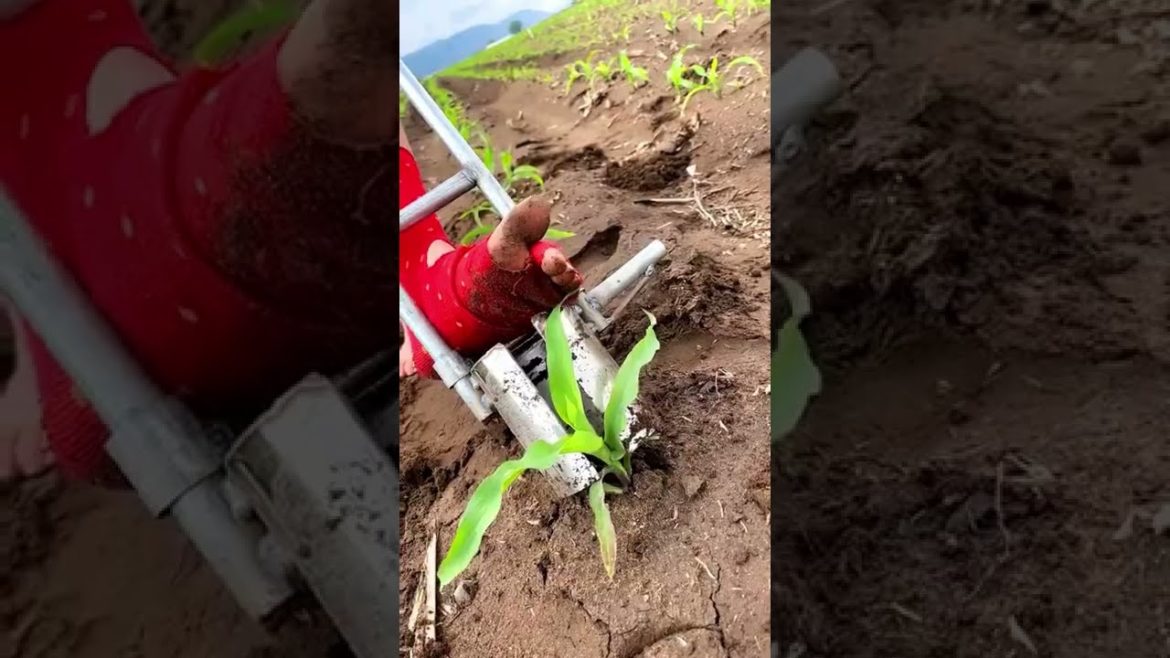 New tool for gardeners