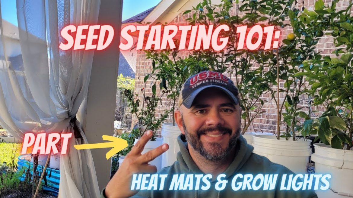 Part 2, Starting Your Seeds || Down-Home Backyard Gardening Part 2, Starting Your Seeds || Down-Home Backyard Gardening