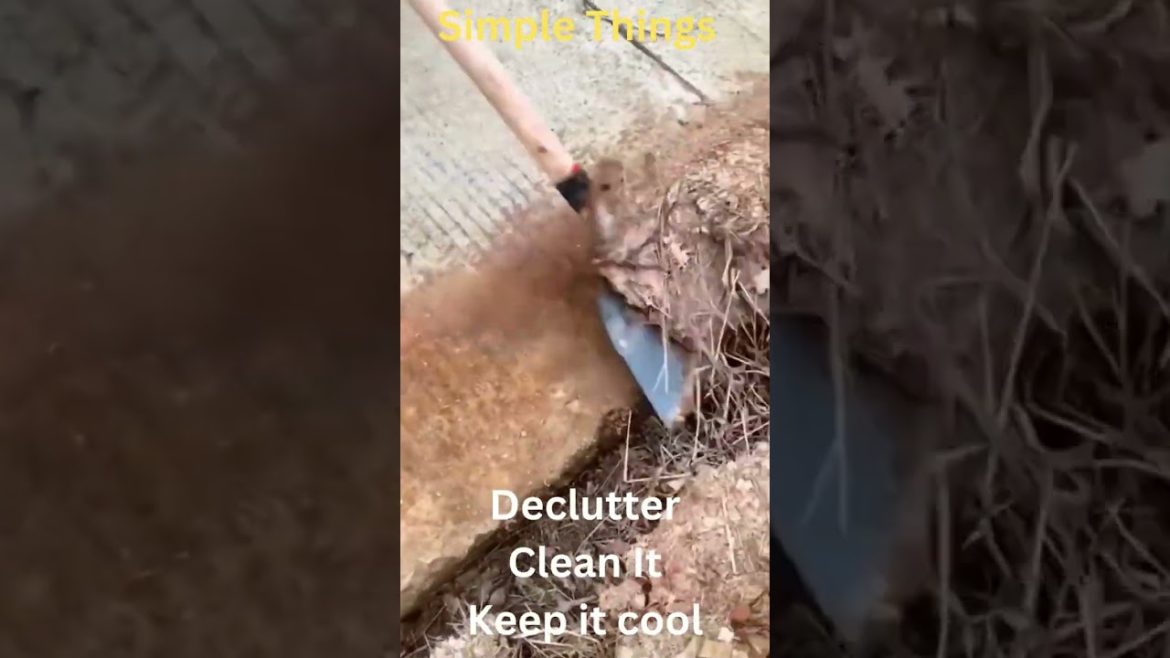 DYI - Super Cleaning Shovel - Gardening #ahorts #viral