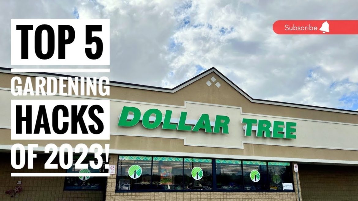 Top 5 Dollar Tree Gardening hacks