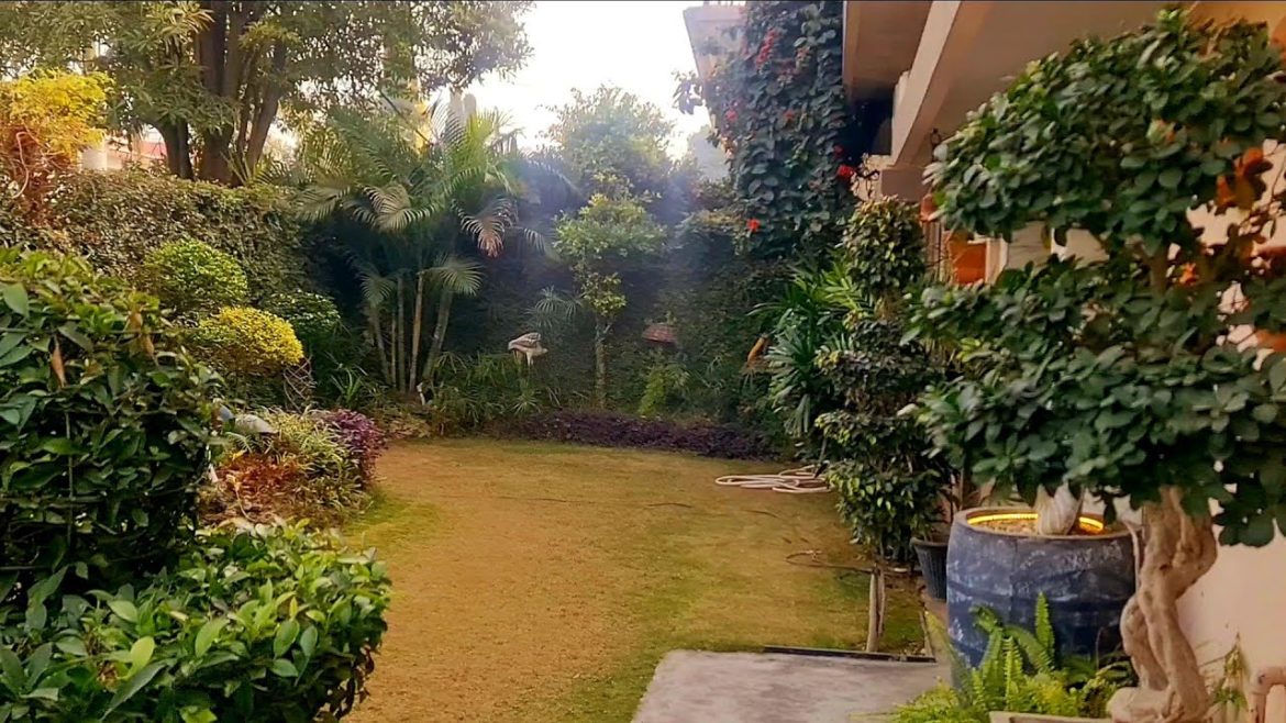 Beautiful Overview Of My Parent's Garden||Explore your hobbies!!!