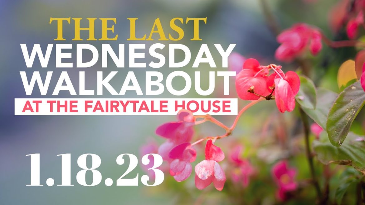 Don't Miss the Last Wednesday Walkabout at the Fairytale House || 1.18.23 Don't Miss the Last Wednesday Walkabout at the Fairytale House || 1.18.23