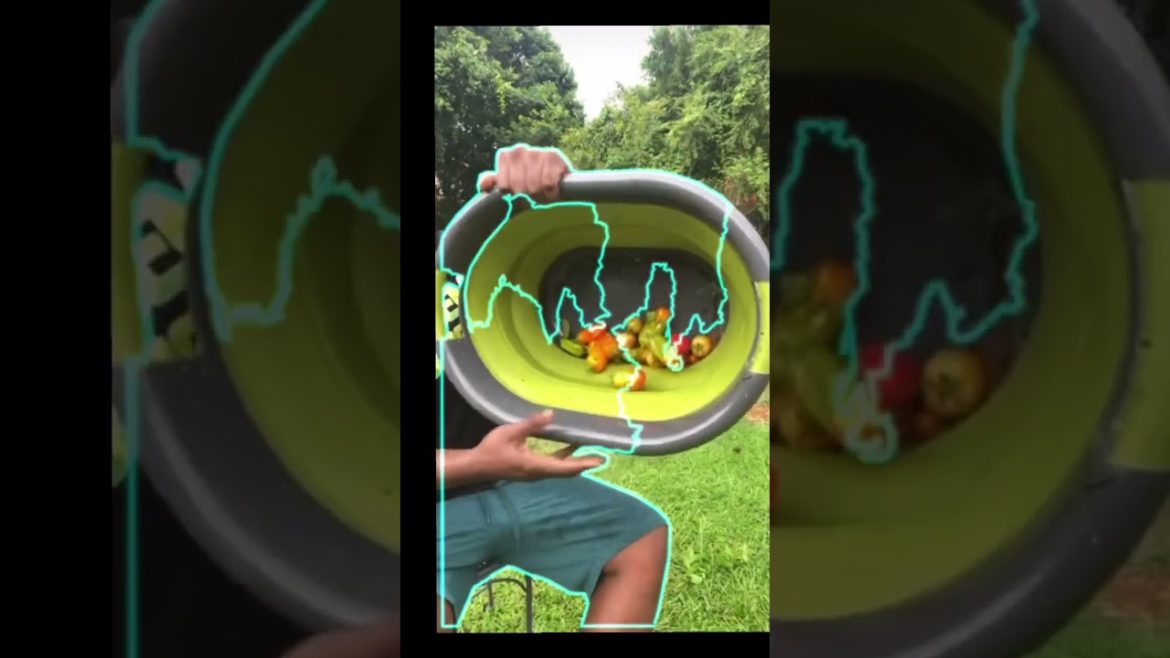 Edible garden benefits