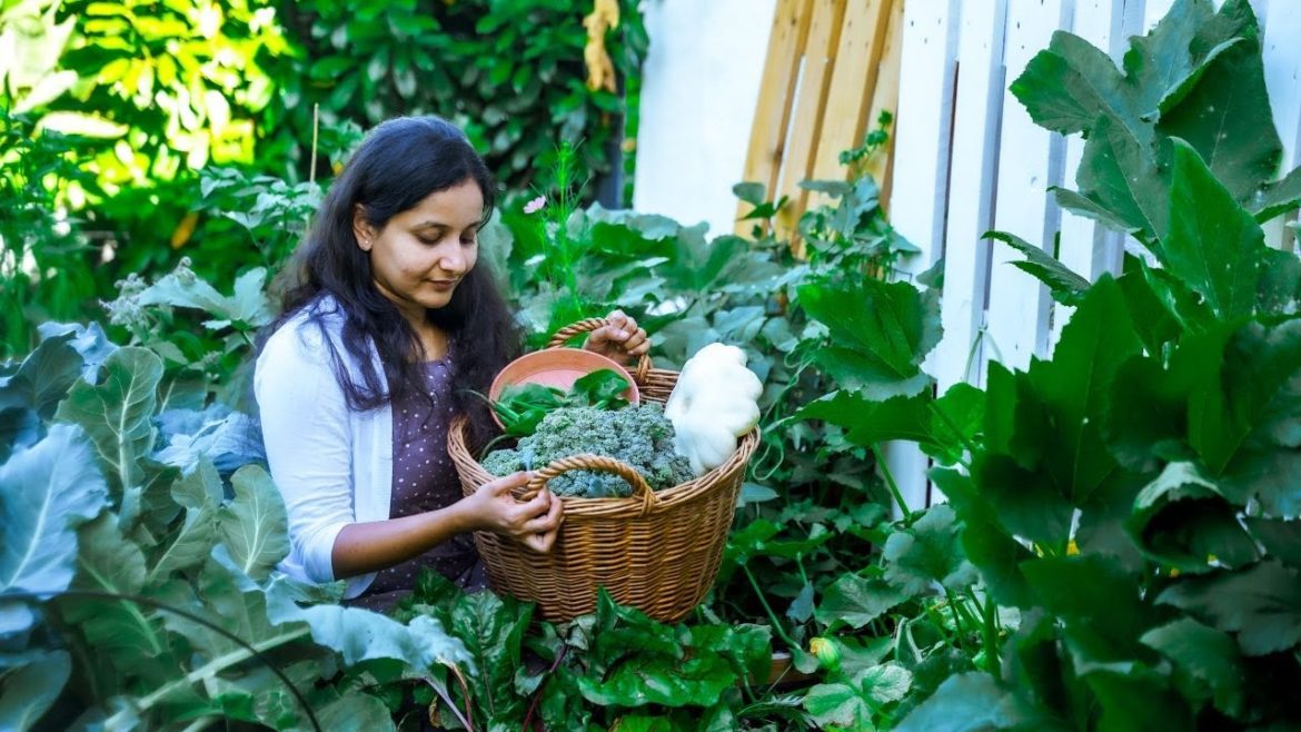 Transforming a 4 m2 Land to an Abundant Vegetable Garden Transforming a 4 m2 Land to an Abundant Vegetable Garden