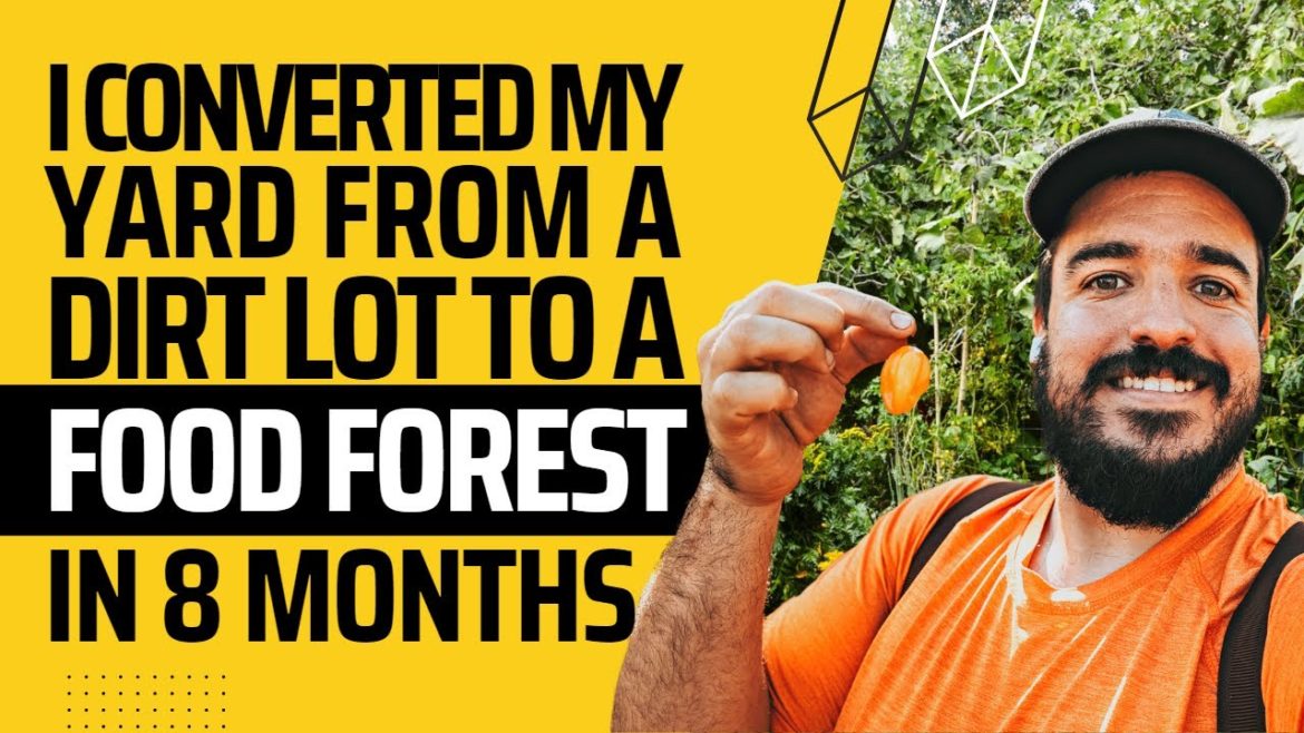 DIRT LOT TO FOOD FOREST IN 8 MONTHS