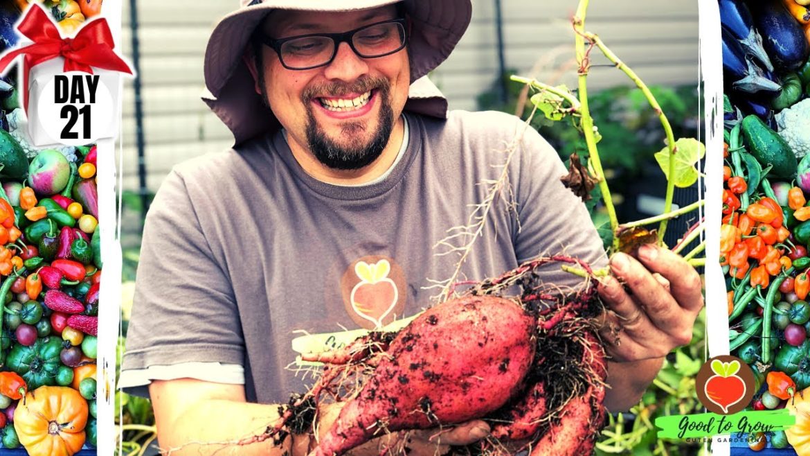 10 Simple Pleasures of Gardening - and it's DAY 21 of our 31 Days of Giving