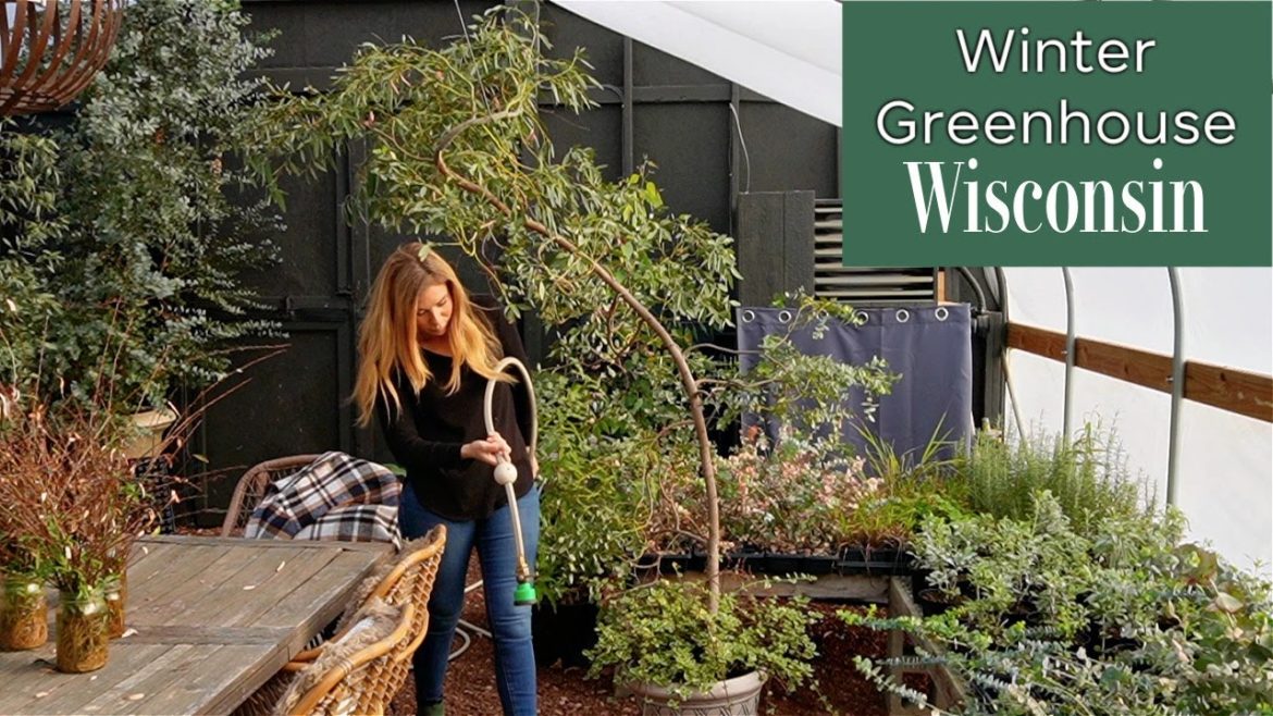 Winter in Our Garden and Greenhouse in Wisconsin | Greenhouse Plant Tour & Our Animals Living Inside