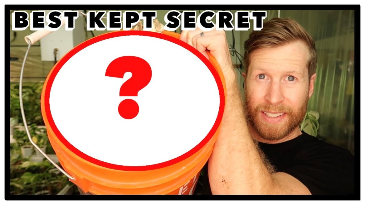 The Best Kept Gardening Secret: How to Make Compost Tea