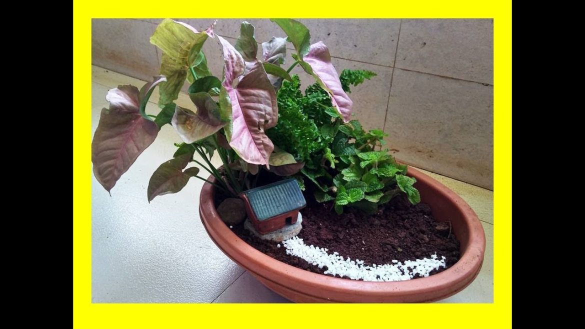 A Mini Tub Garden | Container garden ideas