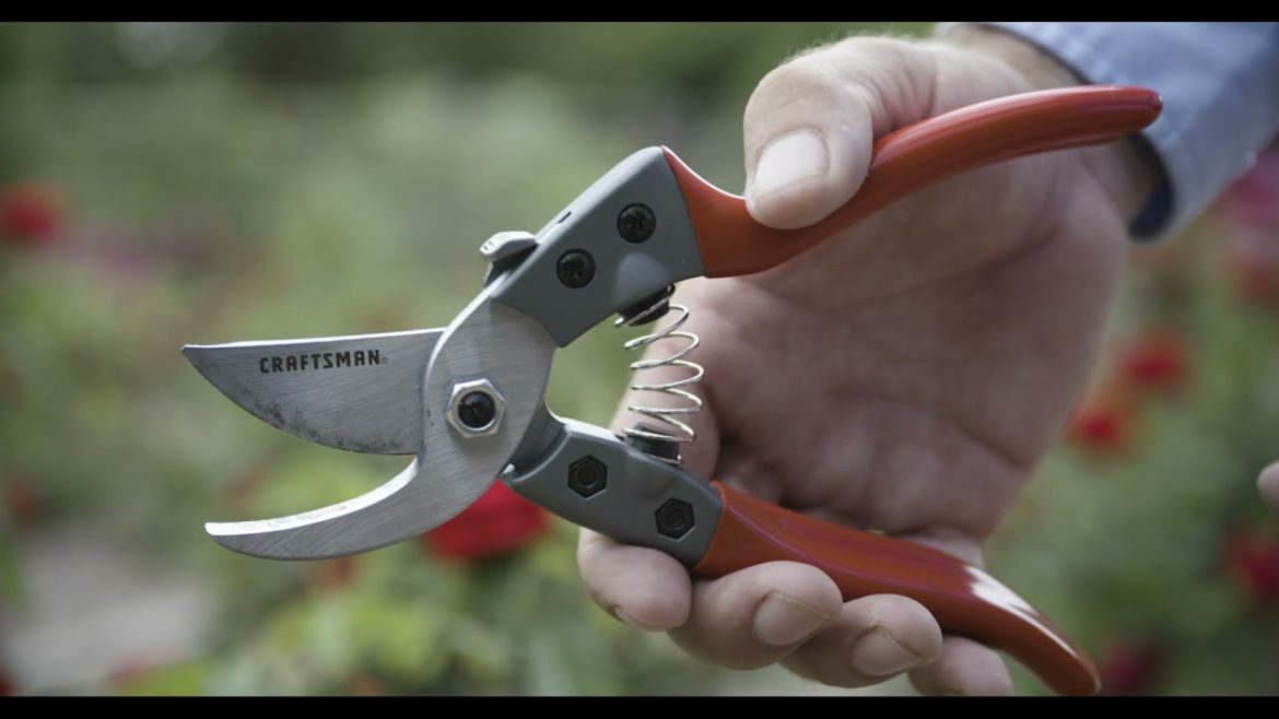 Essential Gardening Tools