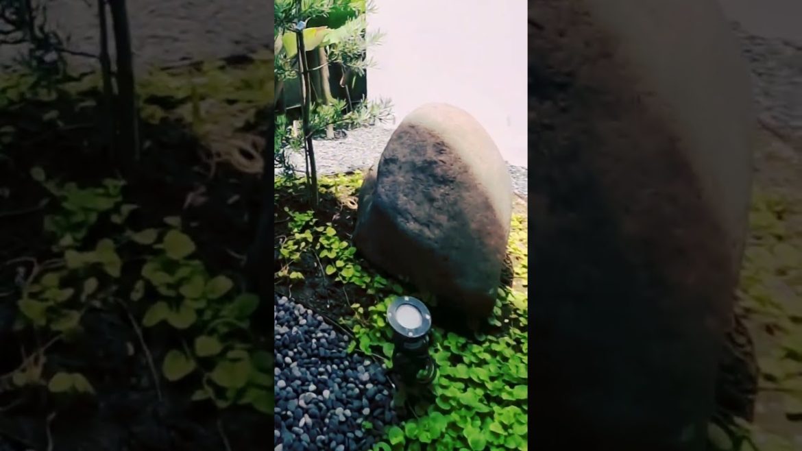 Zen Garden  - Japanese Garden - Taman Minimalis - Taman koral