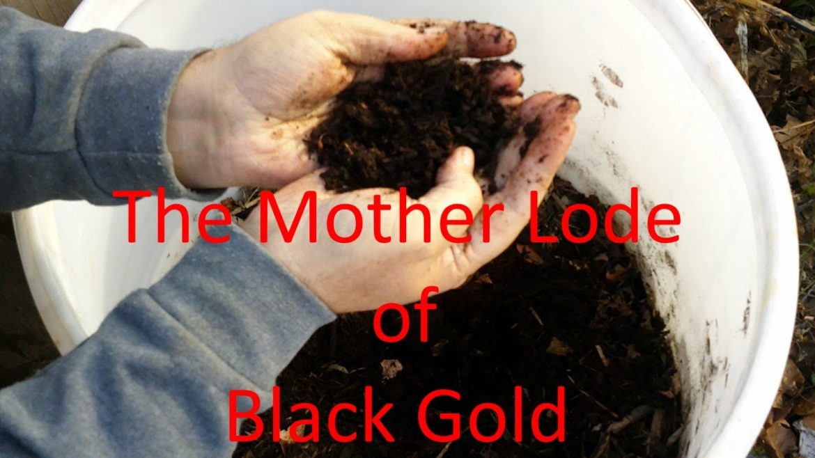 HOW TO MAKE POTASSIUM NITRATE FROM SCRATCH in your Backyard Garden: Part II of III