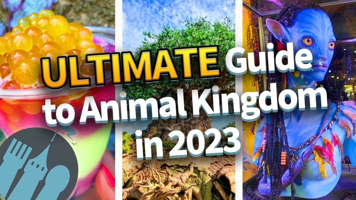 The ULTIMATE Guide to Animal Kingdom in 2023 The ULTIMATE Guide to Animal Kingdom in 2023