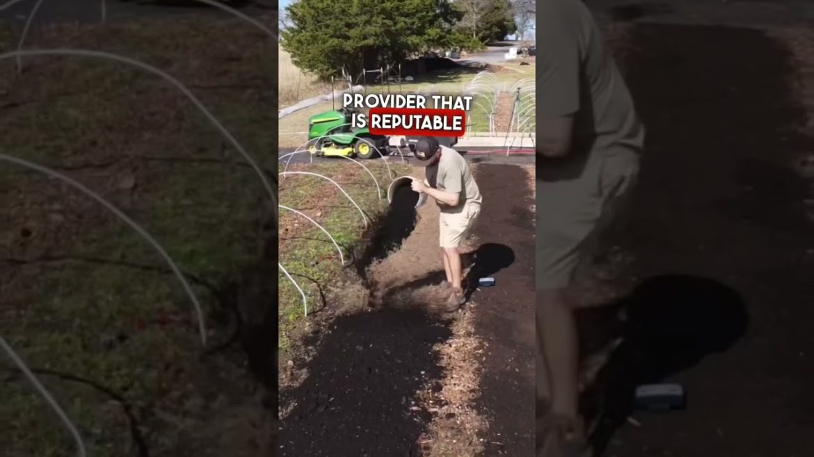 How to prepare garden beds for spring #gardeningforbeginners #gardeningtips #marketgardening How to prepare garden beds for spring #gardeningforbeginners #gardeningtips #marketgardening