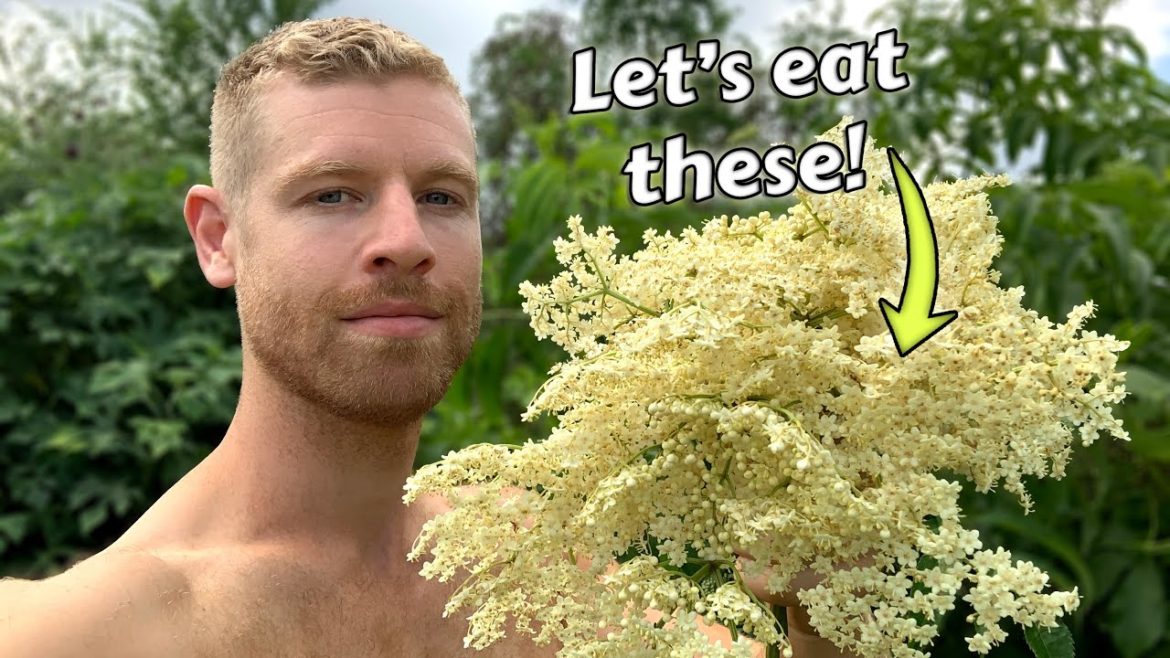 Elderflower Adventures - Exploring Different Ways to Eat and Drink this Awesome Flower