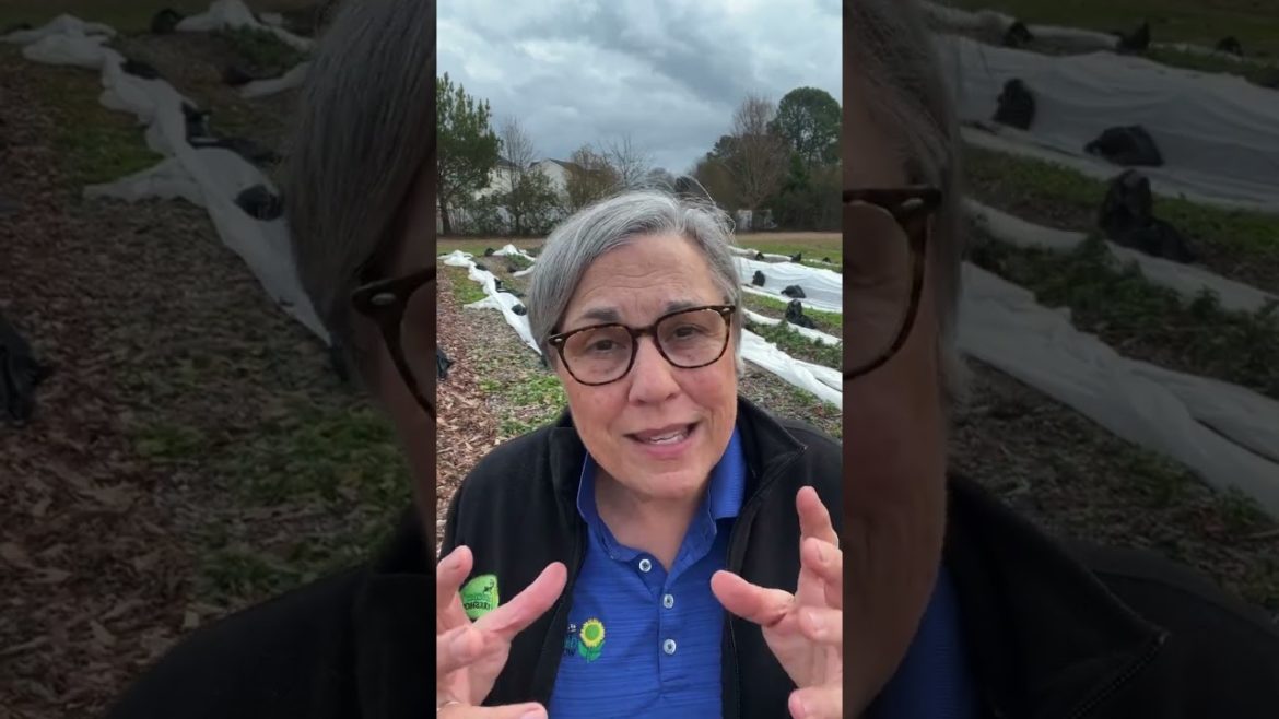 Replay: Ask a Flower Farmer!