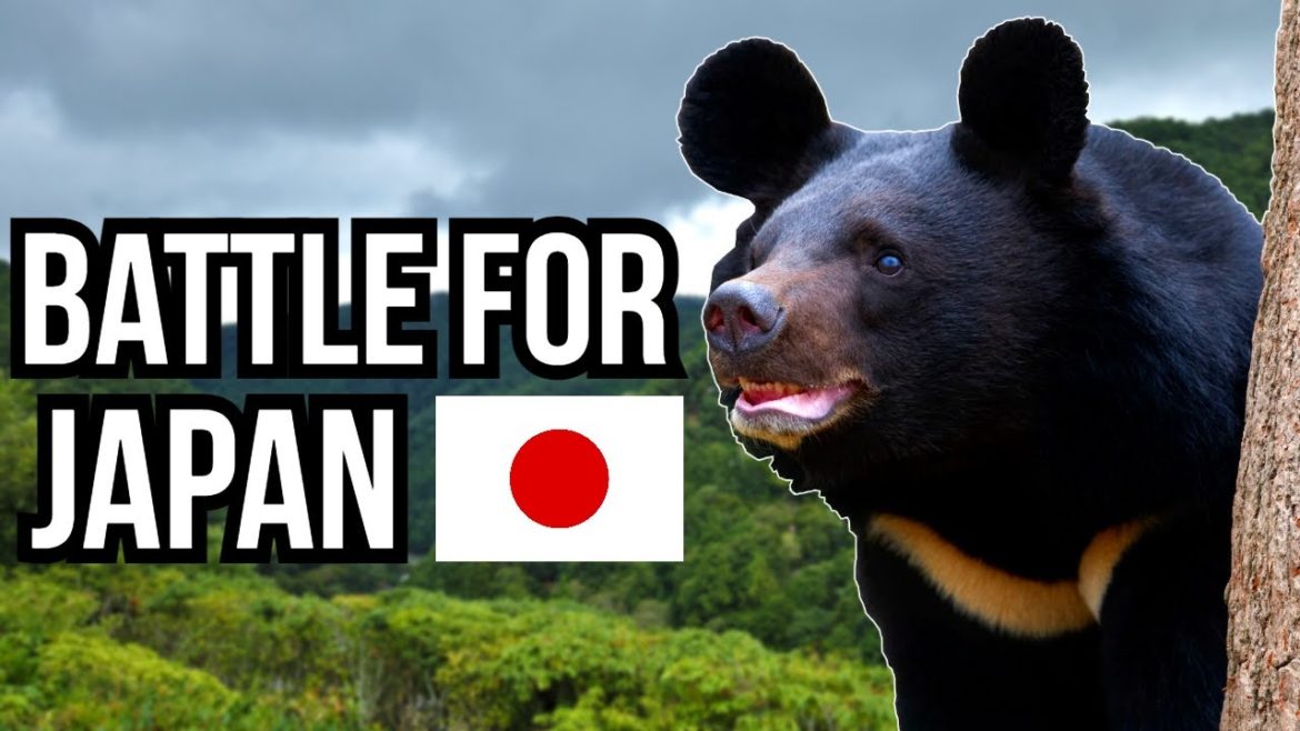 3 Japanese Species That Fight Back Against Invasive Species