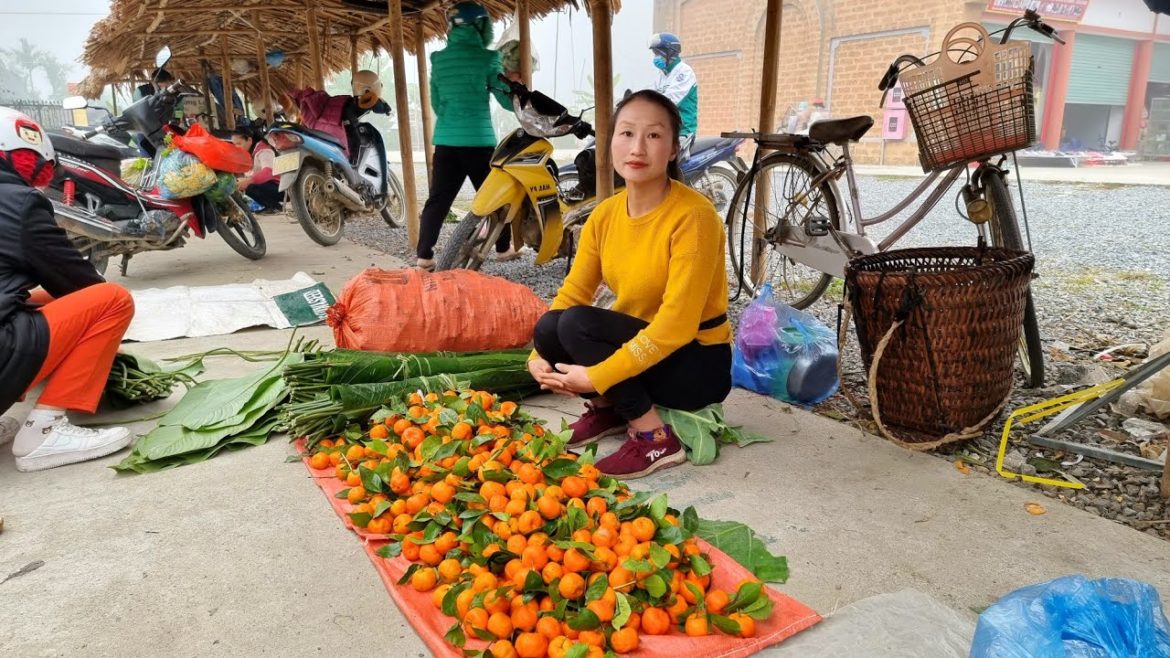 Harvest Dong Leaves, Tangerine to the Market for Sale, my daily life | Ly Thi Tam