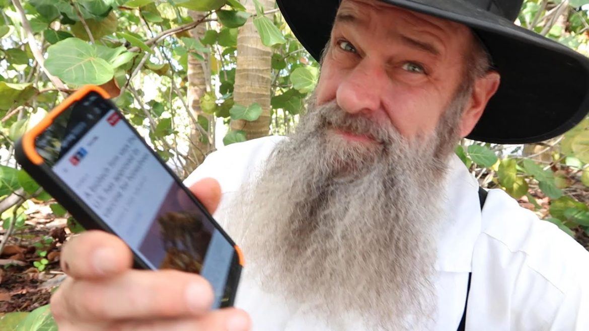 Have you Heard this about the BEES?!? YOU WONT BELIEVE IT!