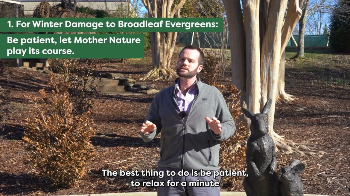 The Winter Freeze: Advice for Your Garden The Winter Freeze: Advice for Your Garden
