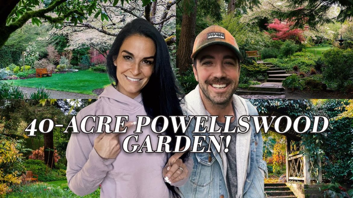 Get Captivated and Indulge in PowellsWood Garden's Enchanting Beauty | Art  of Gardening