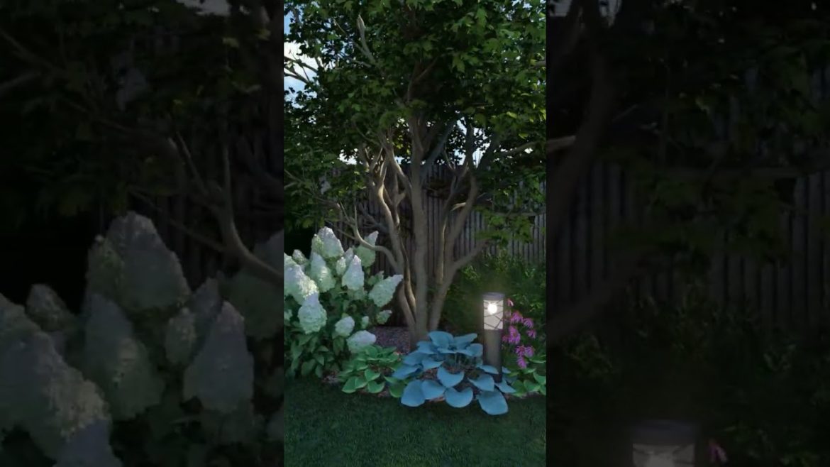 Прогулка по саду | 3D проект участка, Татарстан Прогулка по саду | 3D проект участка, Татарстан