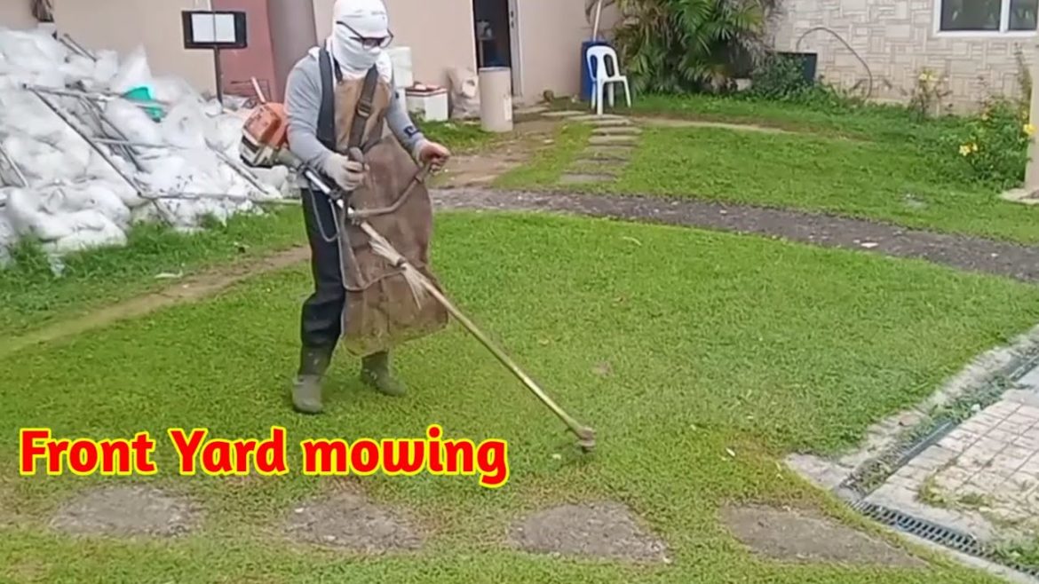 Front yard Mowing /Ground maintenance