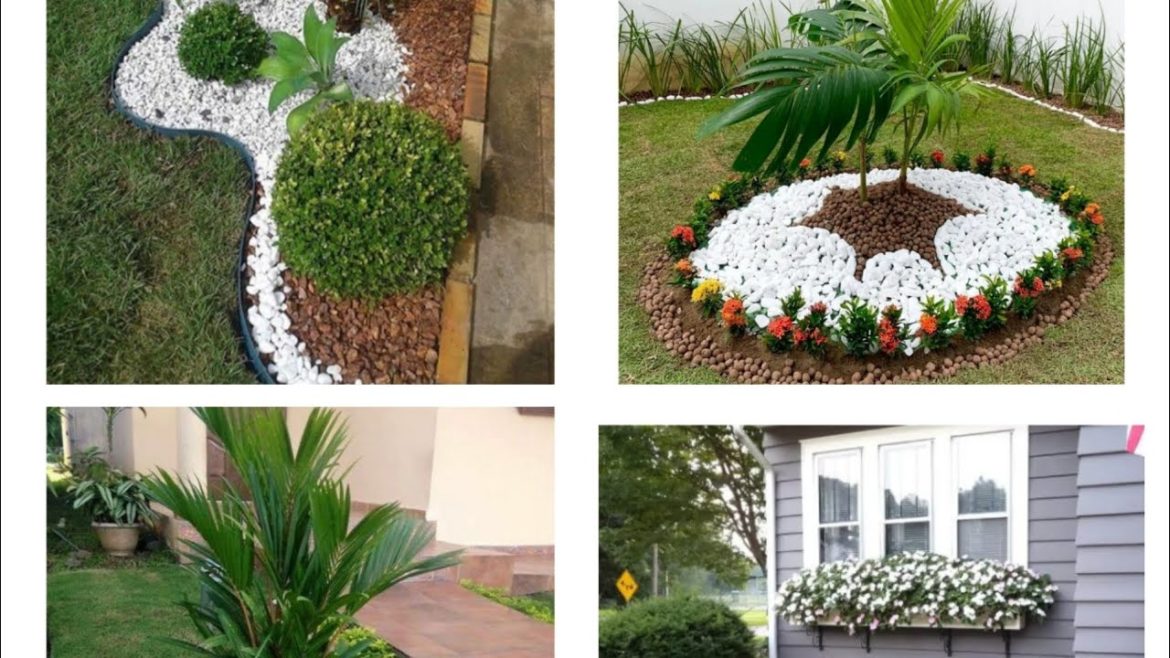 Beautiful landscaping ideas||Backyard decor ideas||Amazing landscaping design ideas|unique landscape Beautiful landscaping ideas||Backyard decor ideas||Amazing landscaping design ideas|unique landscape
