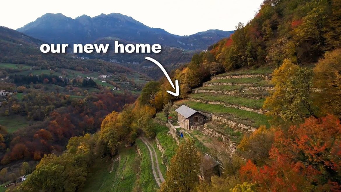 How we ended up here.