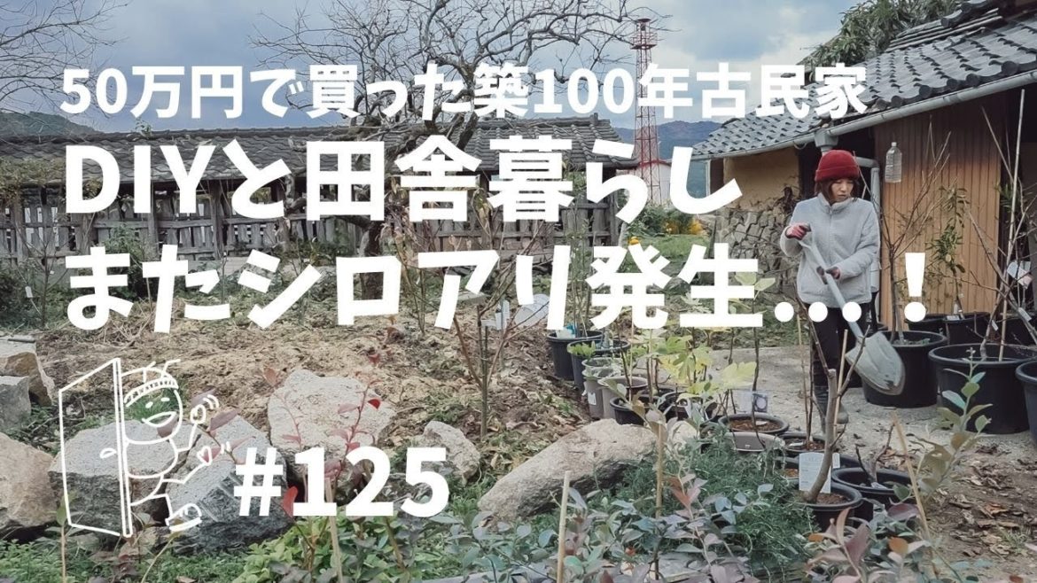 # 125 冬の庭でシロアリ発生！築100年古民家DIYと田舎暮らし
