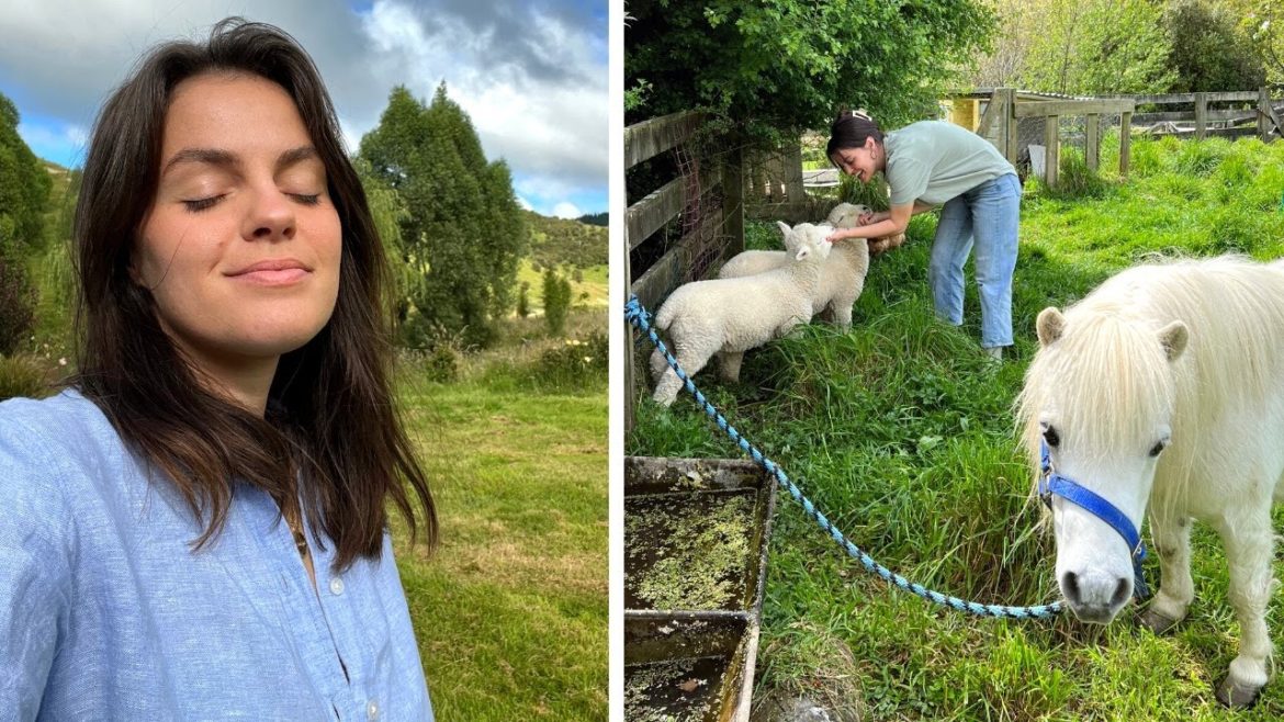 A Day On The Homestead: Gardening, Propagating Plants, & Animal Care