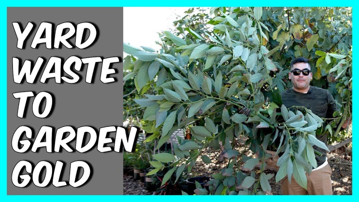 5 Tips for Yard Waste to Garden Gold!!!