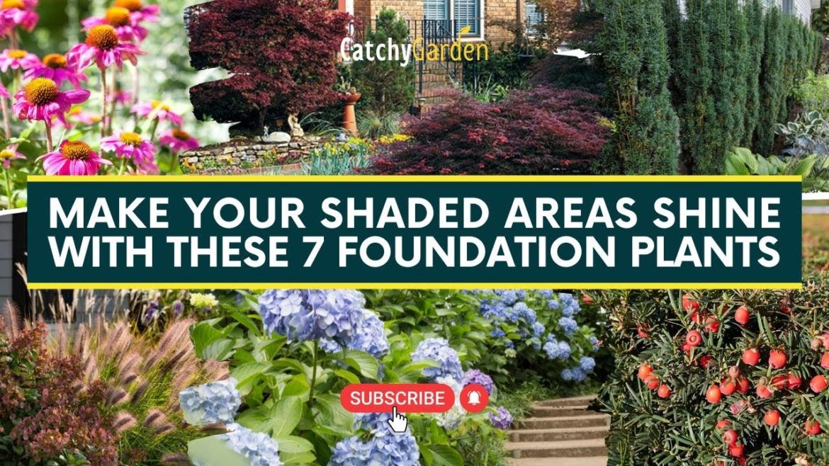 Make Your Shaded Areas Shine With These 7 Foundation Plants 🌺🌲
