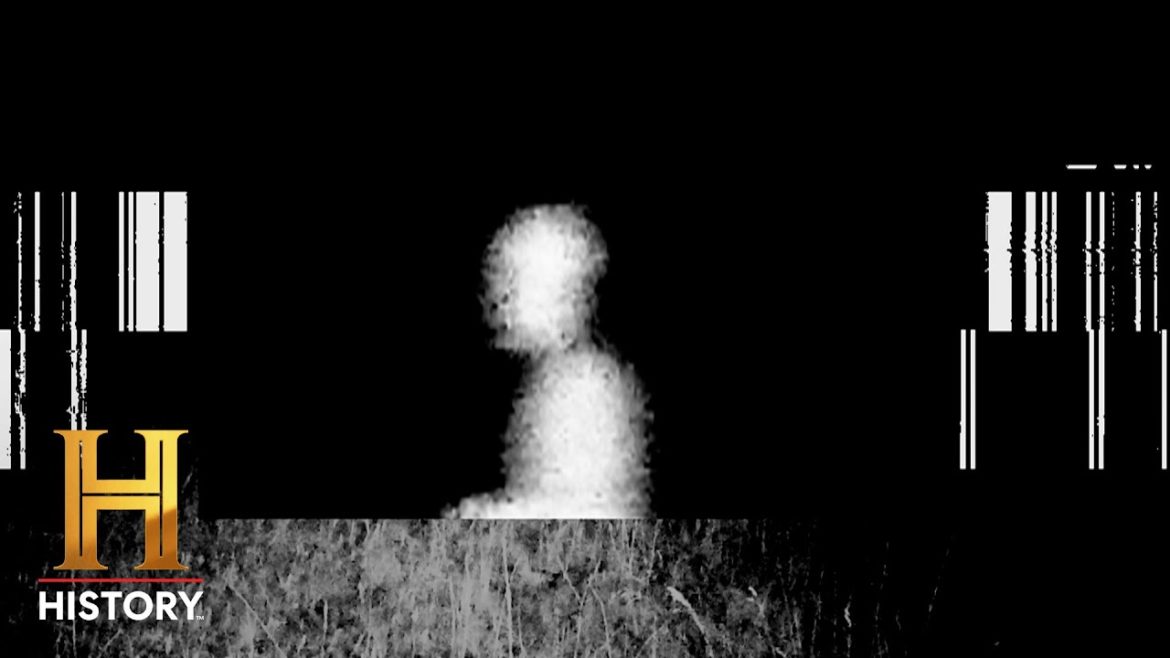 4 HORRIFYING STRANGE CREATURES CAUGHT ON CAMERA | The Proof Is Out There 4 HORRIFYING STRANGE CREATURES *CAUGHT ON CAMERA* | The Proof Is Out There