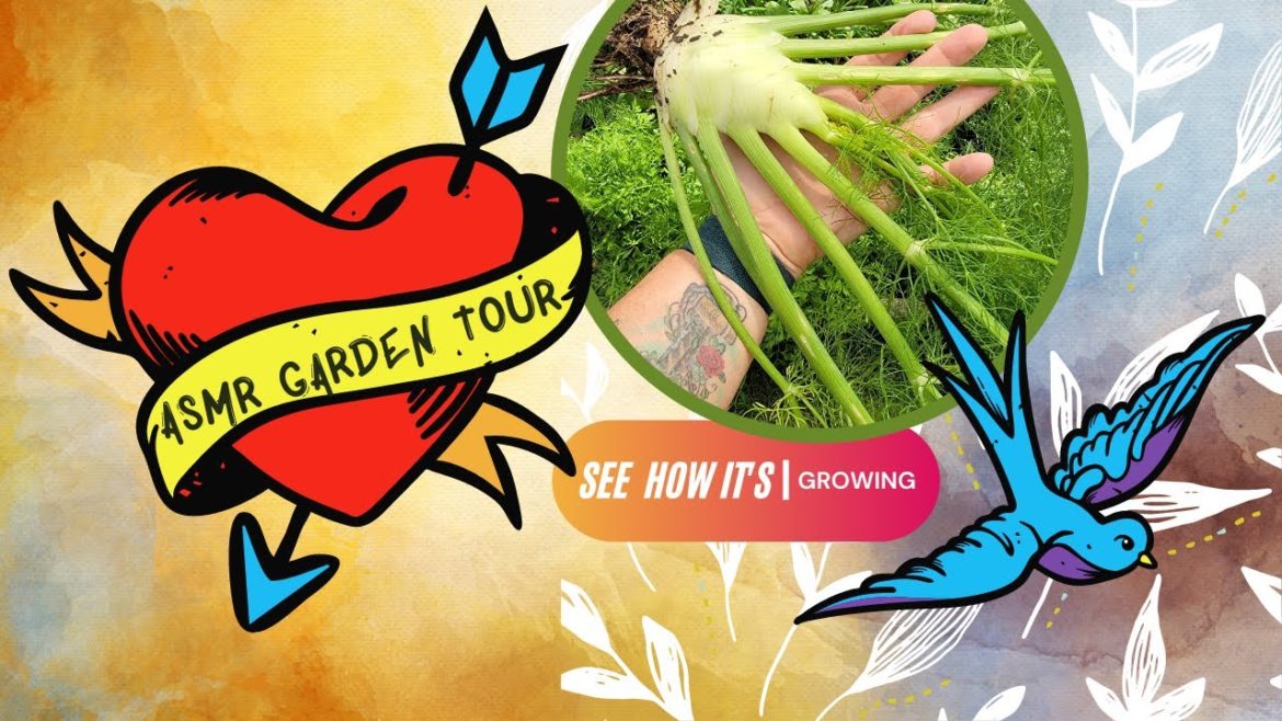 ASMR Summer Garden Tour July | Raised Bed Gardening