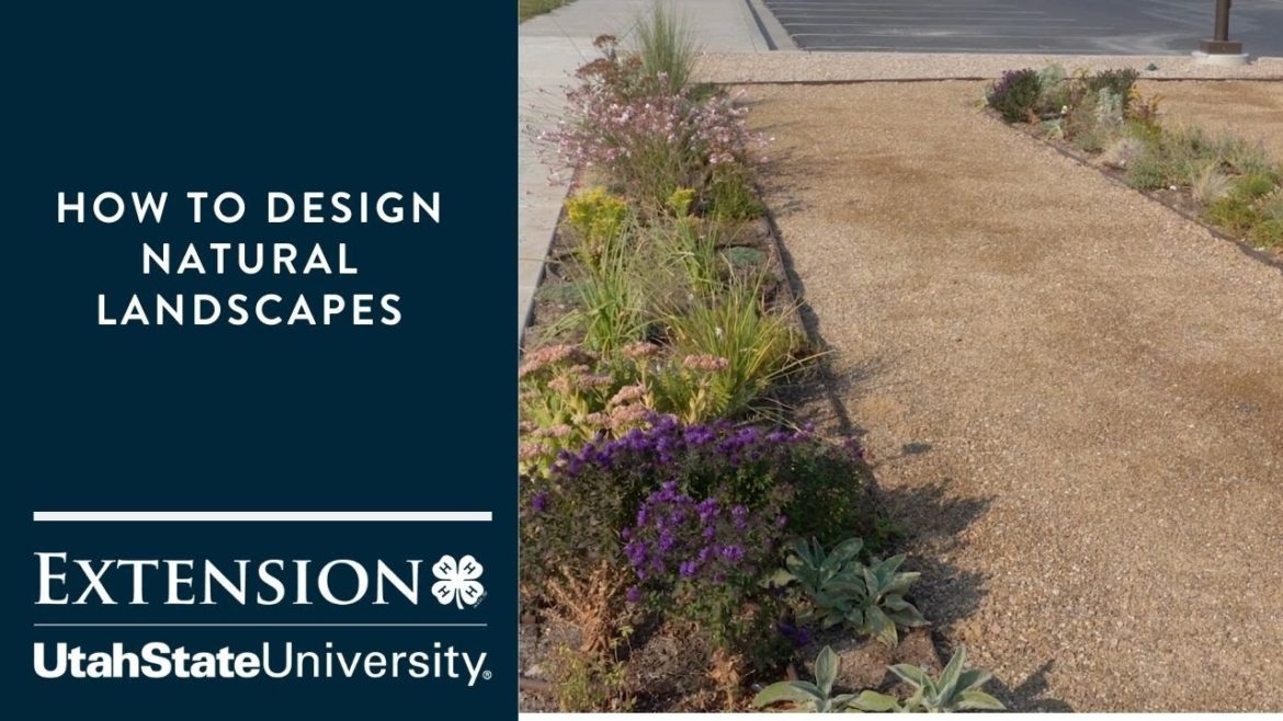 How to Design Natural Landscapes